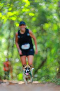 BIB: 
                            <button type="button" onclick="openModal(19014443)" class="btn btn-primary btn-sm float-right btn-popup" data-toggle="modal" data-target=".modal-high-quality">
                        <i class="fas fa-shopping-cart"></i> Add to Cart
                    </button>
                                            <button type="button" onclick="isThisMe(19014443, true)" class="btn btn-success btn-sm float-right btn-popup btn-isme hidden" data-toggle="tooltip" data-placement="bottom" title="นี่คือรูปของคุณใช่ไหม คลิกที่นี่เพื่อเอาเข้าอัลบั้ม">
                        <i class="fas fa-plus"></i> Add to album
                    </button>
                    <button type="button" onclick="isThisMe(19014443, false)" class="btn btn-warning btn-sm float-right btn-popup btn-isnotme hidden">
                        <i class="fas fa-ban"></i> Remove from album
                    </button>